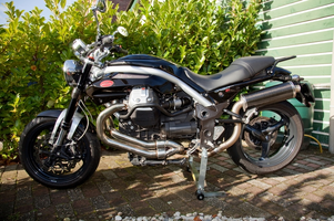 guzzi in my garden.webp