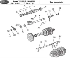 B11-Trans.webp